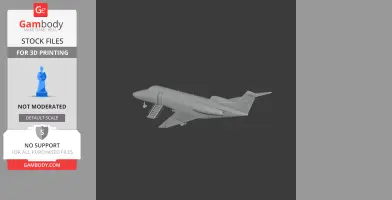 Cessna Citation Plane