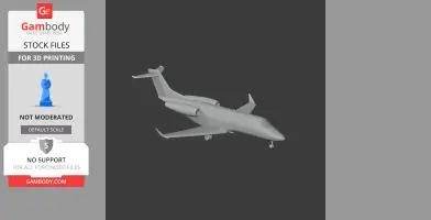 Cessna Citation Plane