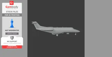 Cessna Citation Plane