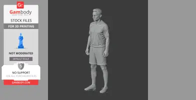 Frank Lampard Figurine