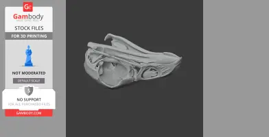 Australian Brushturkey Skull