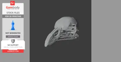 Australian Brushturkey Skull