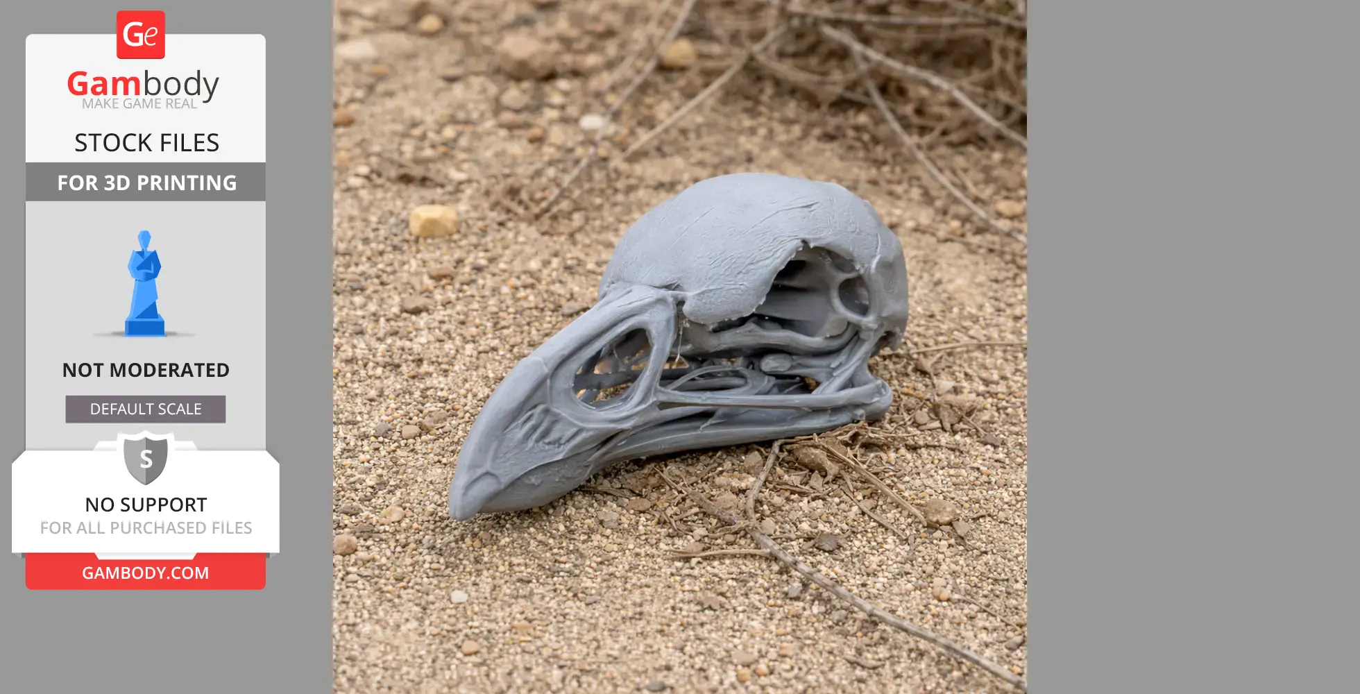 3D printed model of an Australian Brushturkey skull lying on sandy ground.