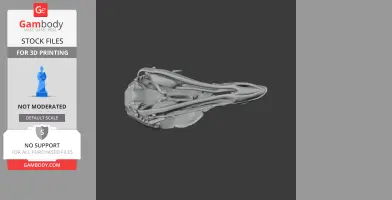 Australian Brushturkey Skull