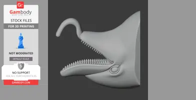 Dolphin Head Wall Hanger Coat and Key Holder Hook