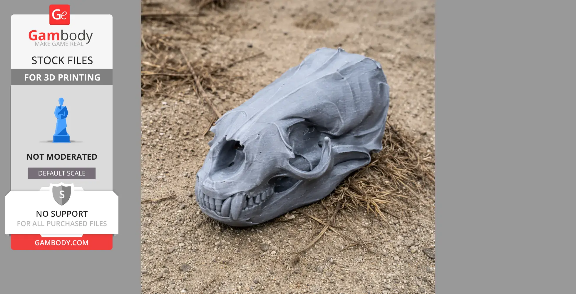 A 3D-printed Australian fur seal skull resting on sandy ground.