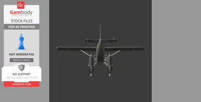 DHC-2 Beaver Plane