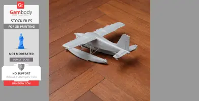 DHC-2 Beaver Plane