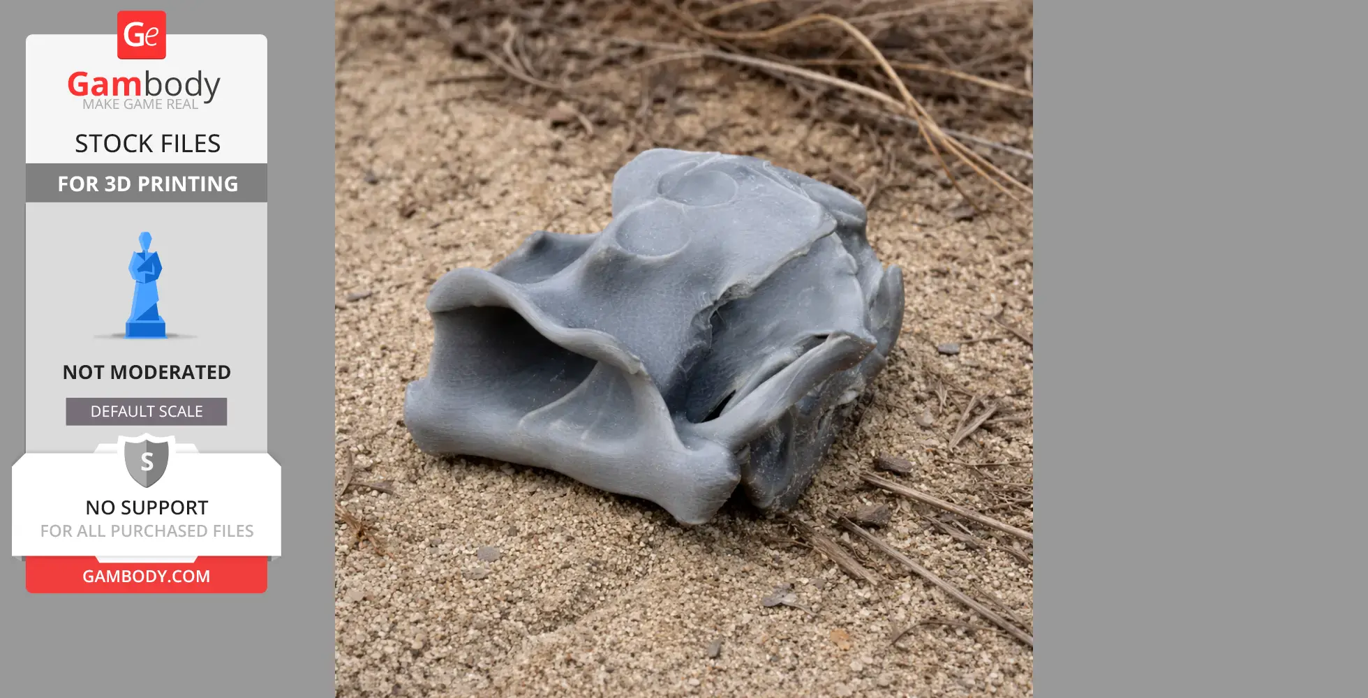 A 3D-printed Australian sea lion skull model on sandy ground.