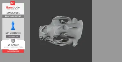 Australian Sea Lion Skull