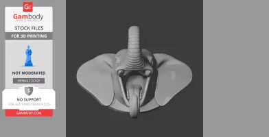 Elephant Head Wall Hanger Coat and Key Holder Hook