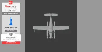 DHC-3 Otter Plane