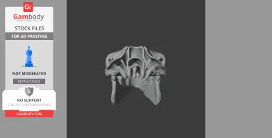 Bactrian Camel Skull