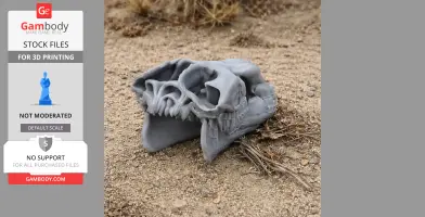 Bactrian Camel Skull