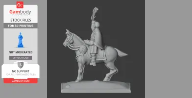 Arthur Wellesley Napoleonic Soldier