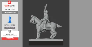 Arthur Wellesley Napoleonic Soldier