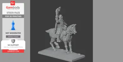 Arthur Wellesley Napoleonic Soldier