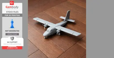 DHC-6 Twin Otter Plane