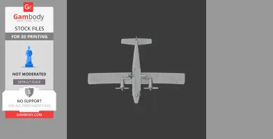 DHC-6 Twin Otter Plane