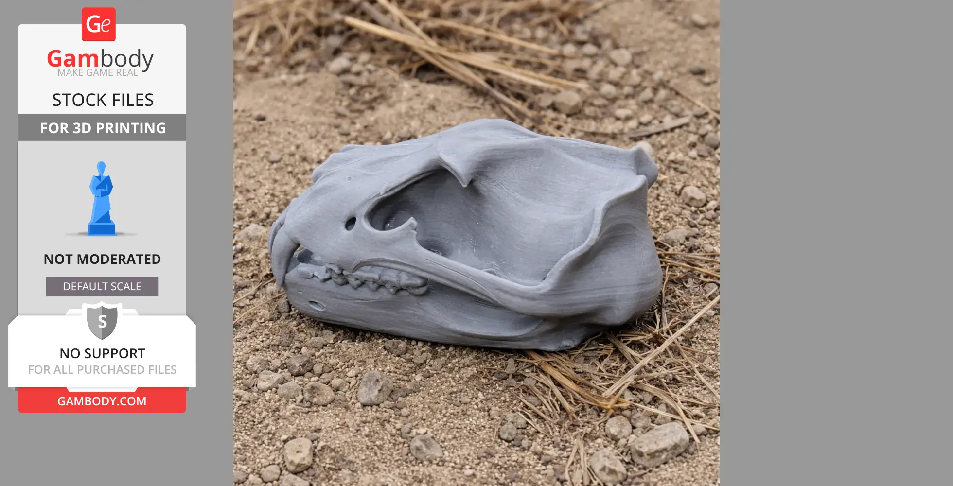 3D printed Barbary lion skull on sandy ground with dry grass.