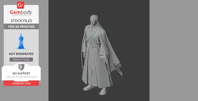 Ashikaga Takauji Samurai