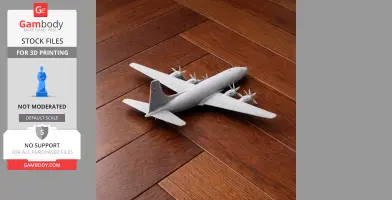 Douglas DC-6 Plane