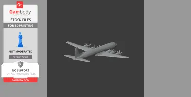 Douglas DC-6 Plane