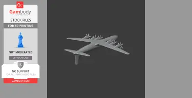 Douglas DC-6 Plane