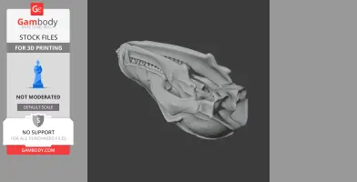 Bat-eared Fox Skull