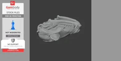 Bat-eared Fox Skull