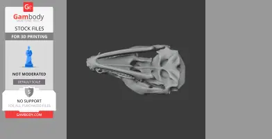 Bat-eared Fox Skull