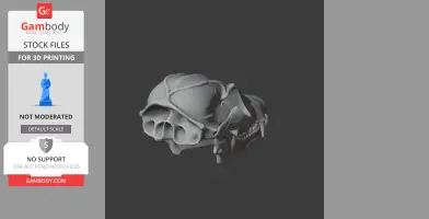 Bat-eared Fox Skull
