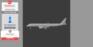Embraer E195 Plane