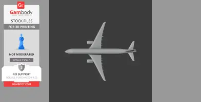 Embraer E195 Plane