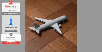 Embraer E195 Plane