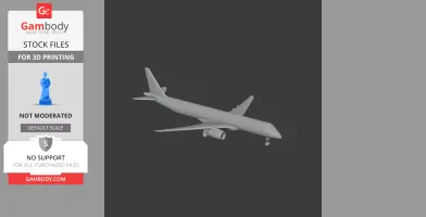 Embraer E195 Plane