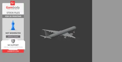 Embraer E195 Plane