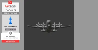 Embraer EMB 110 Plane