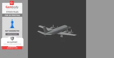 Embraer EMB 110 Plane