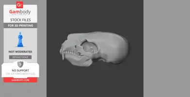 Bear Skull