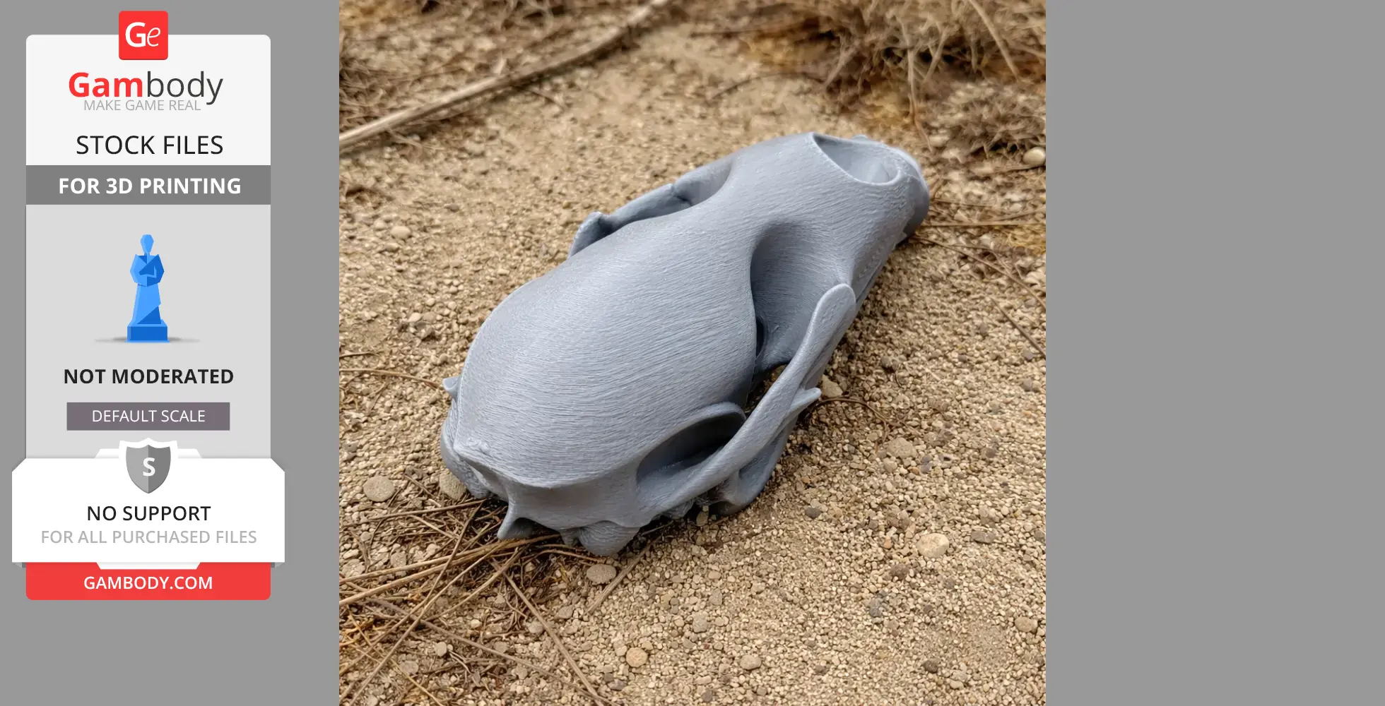 3D printed bearded seal skull model resting on the ground.