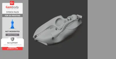 Bearded Seal Skull