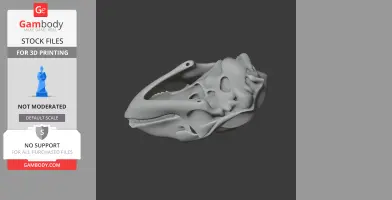 Bearded Seal Skull
