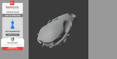 Bearded Seal Skull