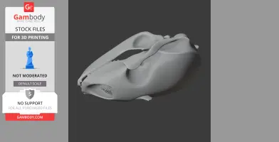 Bearded Seal Skull