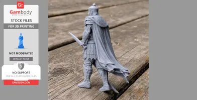 Attila the Hun Ancient Warrior