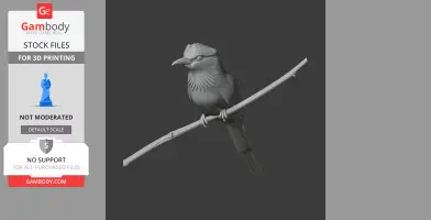 Ground Roller Bird