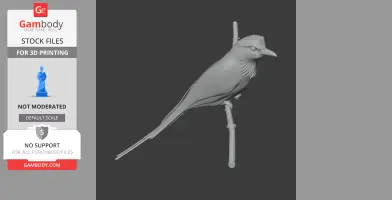 Ground Roller Bird