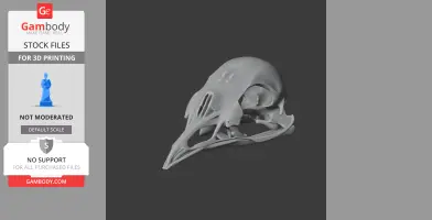 Bellbird Skull