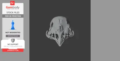 Bellbird Skull
